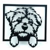 Wall Art Bichon