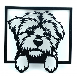 Wall Art Bichon